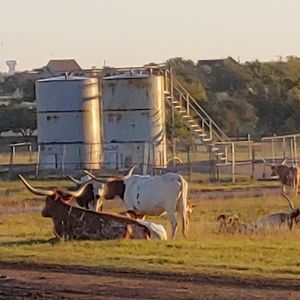 Meet your Posher, Bobby